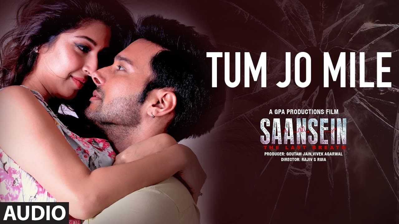 TUM HO MERE Full Audio Song | SAANSEIN | Rajneesh Duggal, Sonarika Bhadoria, Hiten Tejwani & Neetha