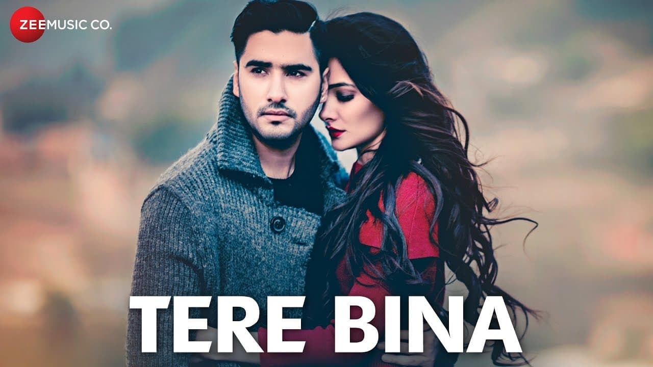 Tere Bina - Official Music Video | Amir Sheakh | Renuca Singh