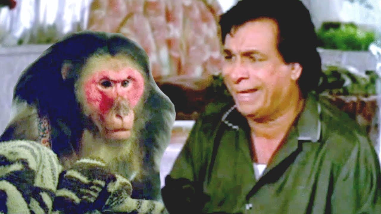 Kadar Khan, Aankhen - Comedy Scene 2/13