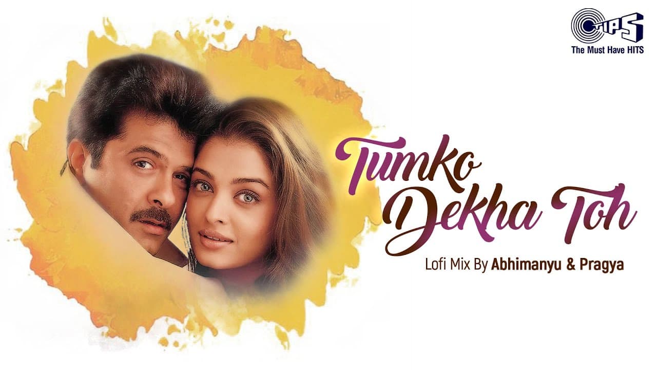 Tumko Dekha Toh - Lofi Mix | Hamara Dil Aapke Paas Hai | Alka Yagnik, Kumar Sanu | Hindi Lofi Mix