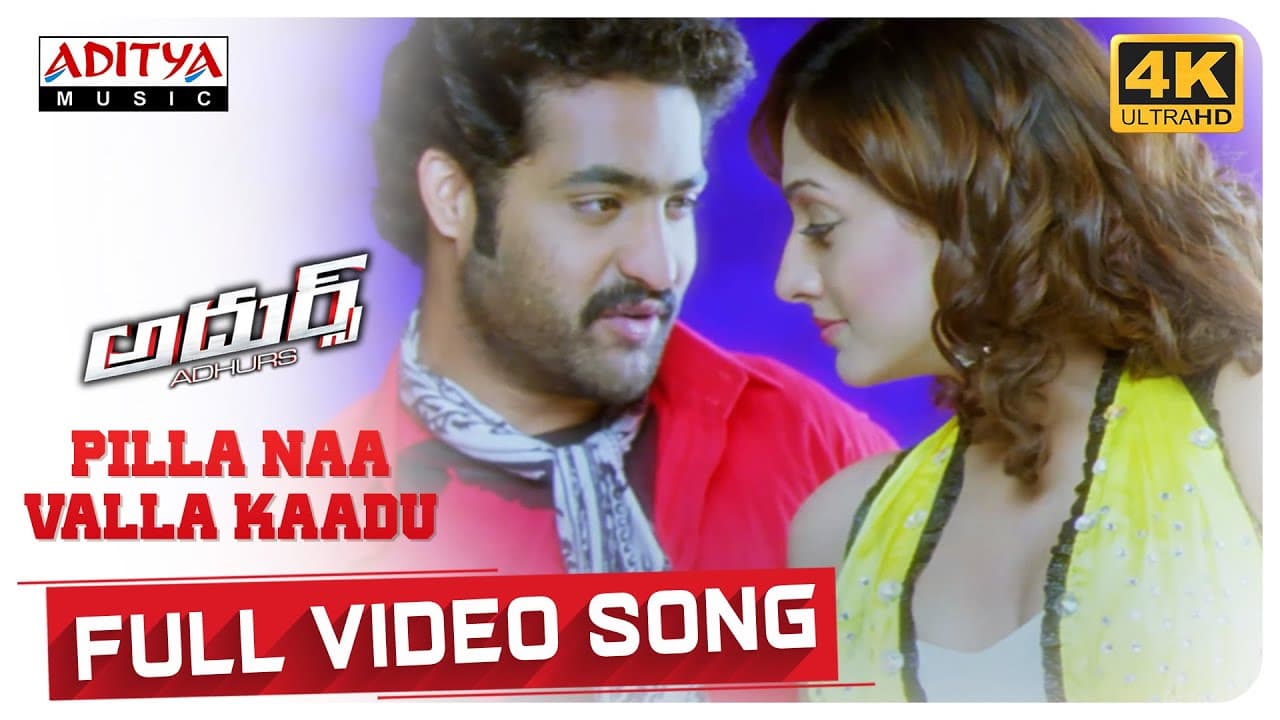 Pilla Naa Valla Kaadu Full Video Song 4K || Adhurs Movie || Jr. NTR, Nayanthara , Sheela || DSP