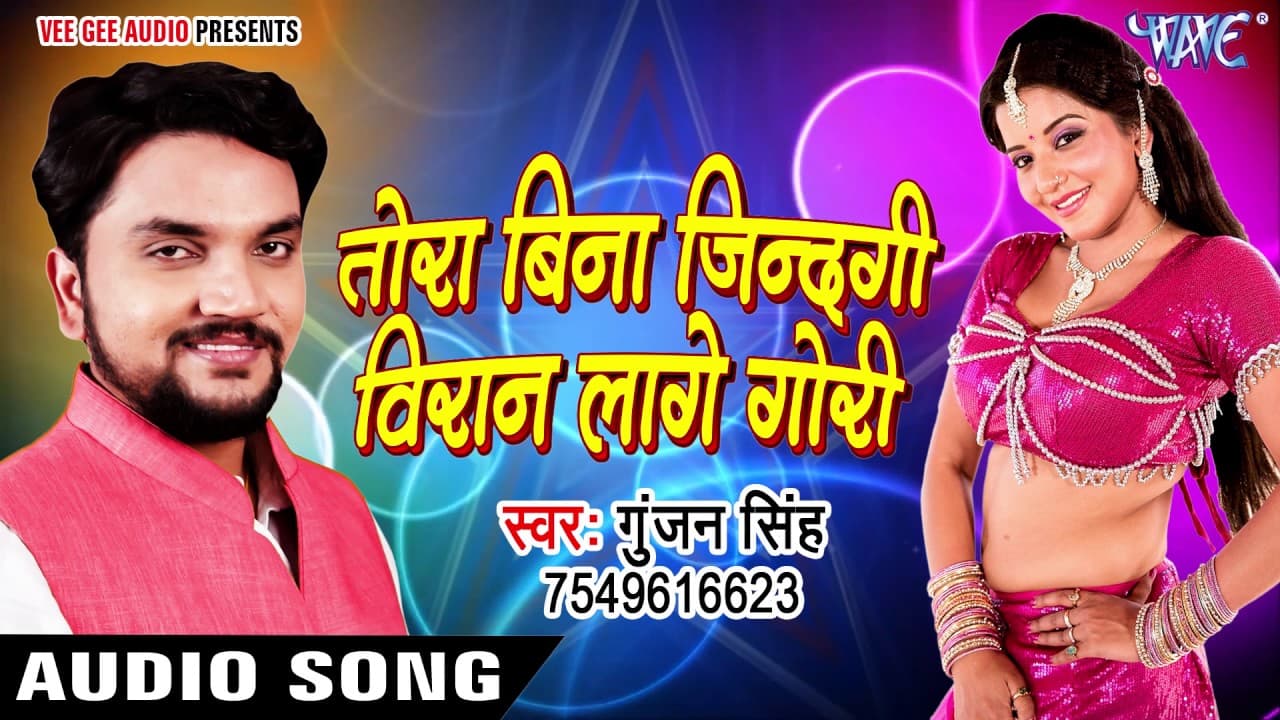 Tora Bina Jinagi Viran Lage - Gunjan Singh - Mile Aiha Chori Chori -  Bhojpuri Sad Song