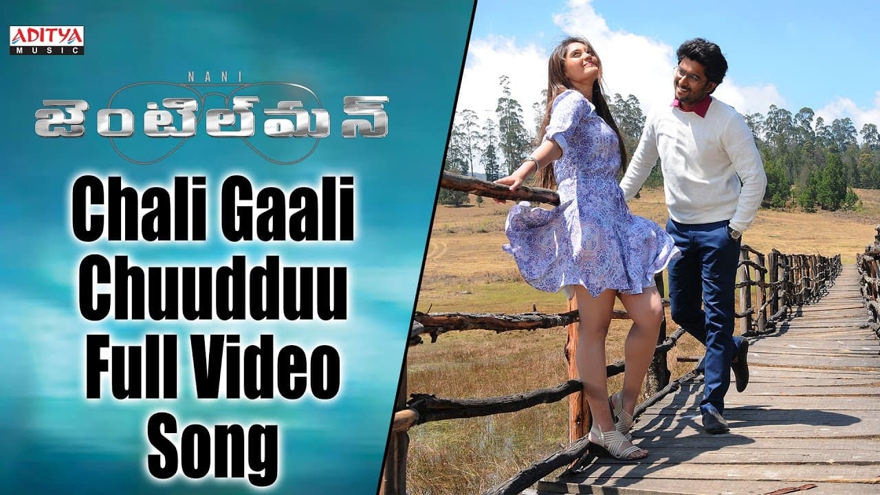 Chali Gaali Chuudduu Full Video Song || Gentleman Video Songs || Nani, Surabhi, Nivetha, ManiSharma