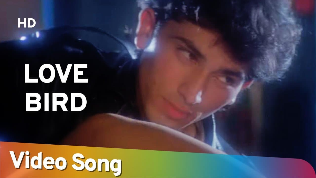 Love Bird | Raja Ki Aayegi Baraat (1996) | Shadaab Khan | Filmi Gaane