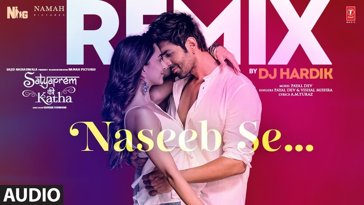 Naseeb Se (Remix) (Audio):  Kartik Aaryan, Kiara Advani | Payal Dev, Vishal Mishra | DJ Hardik