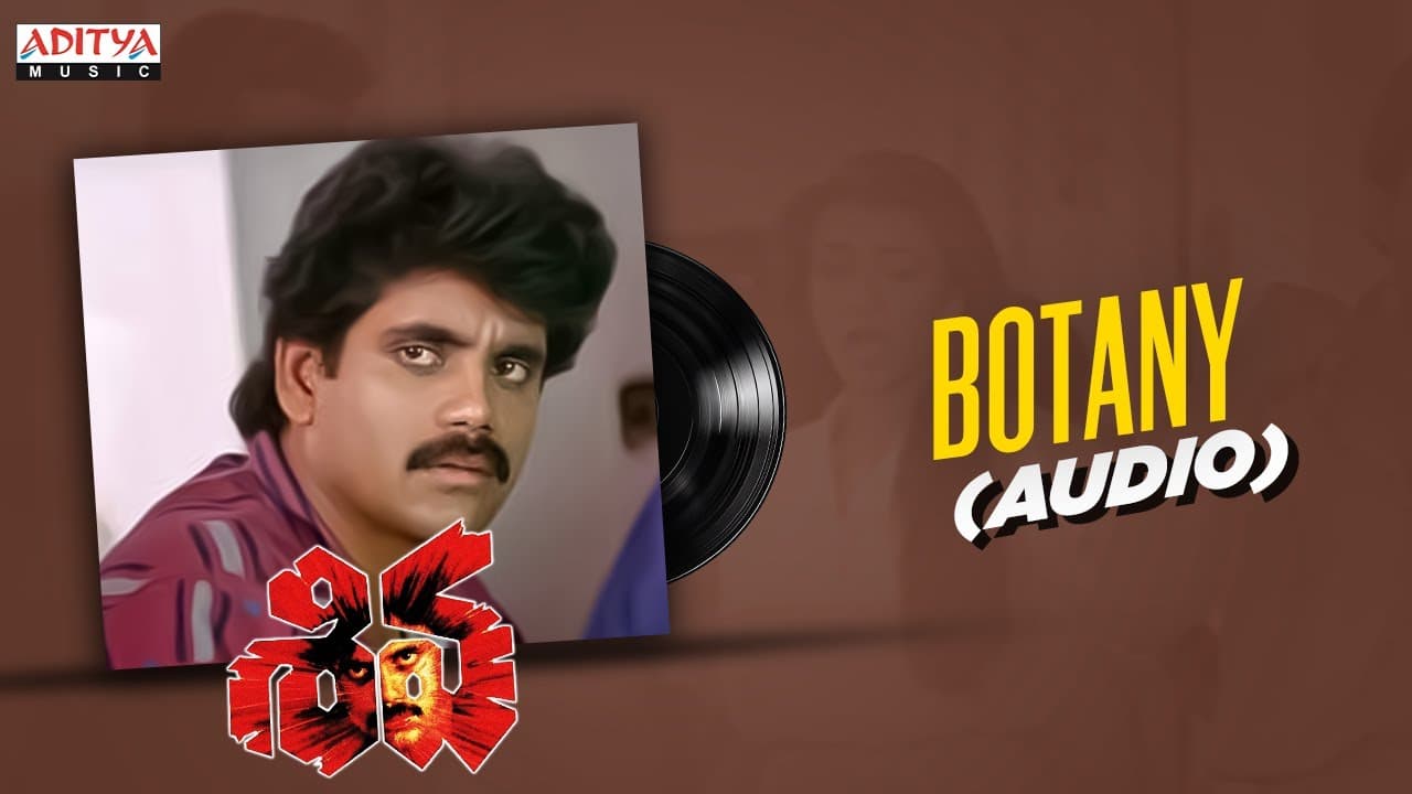 Botany Audio | Shiva | Nagarjuna, Amala | Ramgopal Varma | Ilayaraja