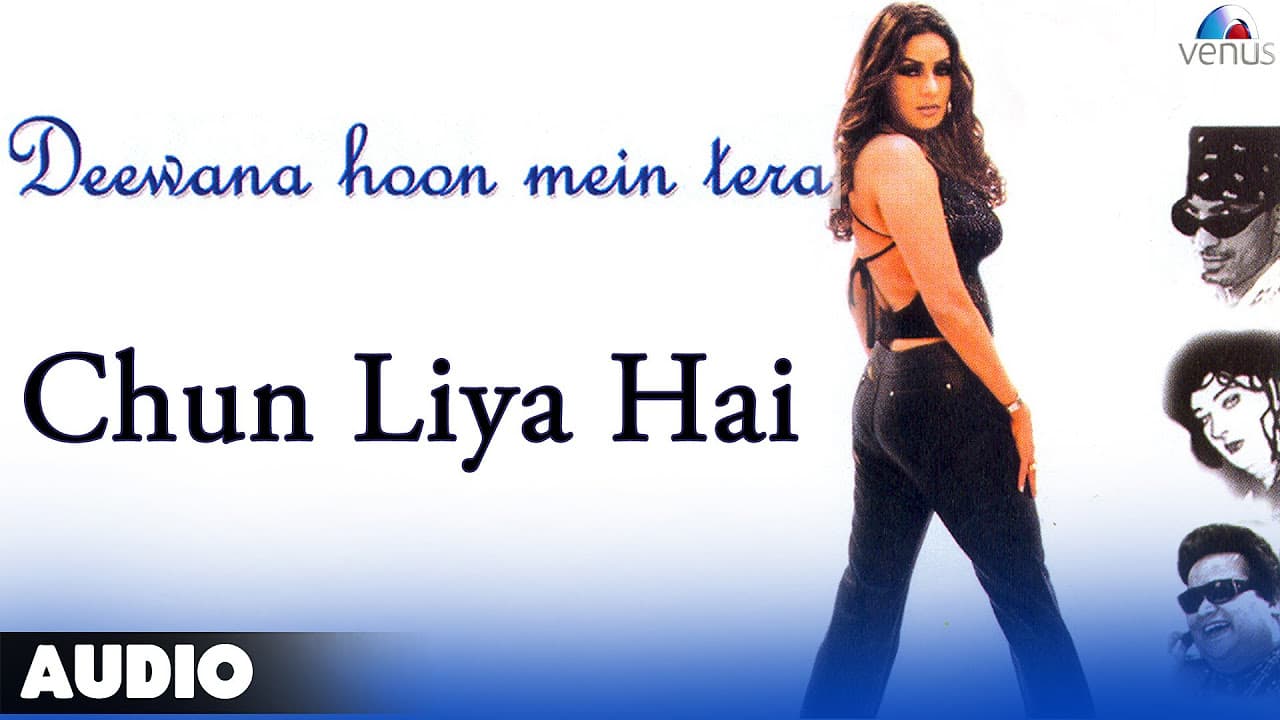 Deewana Hoon Mein Tera : Chun Liya Hai Full Audio Song | Shatabdi Roy,Sidharth Dhawan |