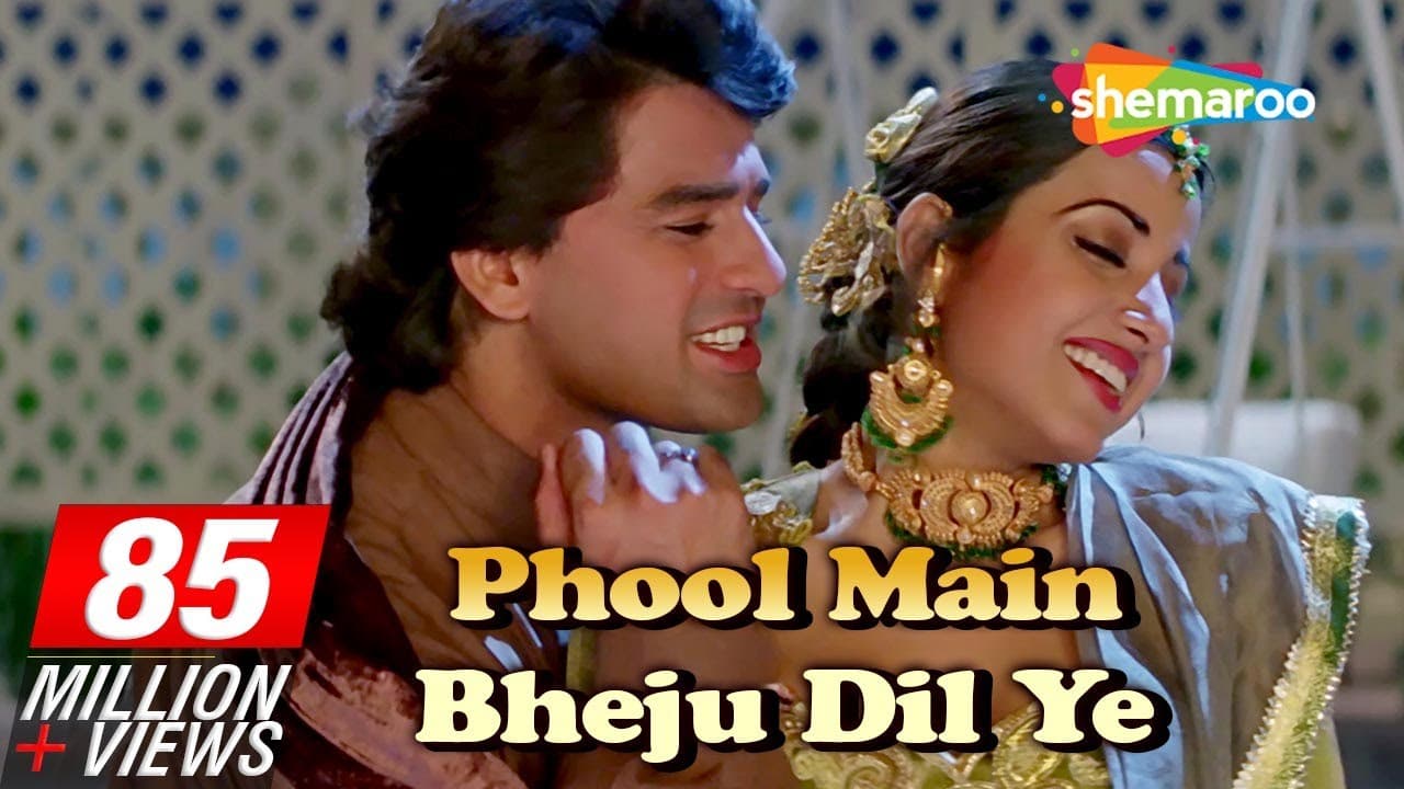 Phool Mai Bheju | Salma Pe Dil Aaga Ya | Ayub Khan | Saadhika | Hindi Song