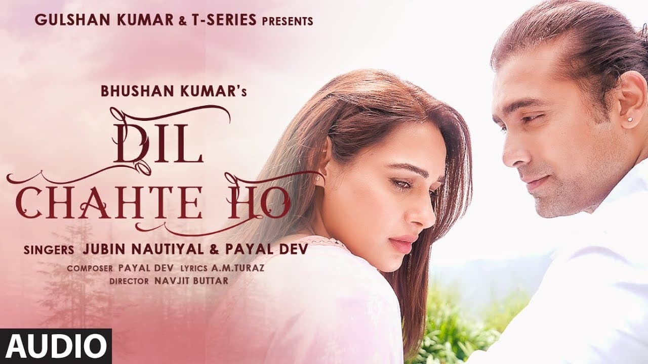 Dil Chahte Ho (AUDIO) Jubin Nautiyal, Mandy Takhar | Payal Dev, AM Turaz |Navjit B | Bhushan Kumar